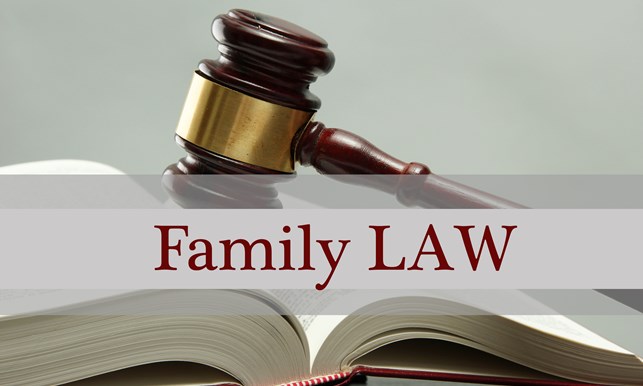 gavel-on-open-family-law-book