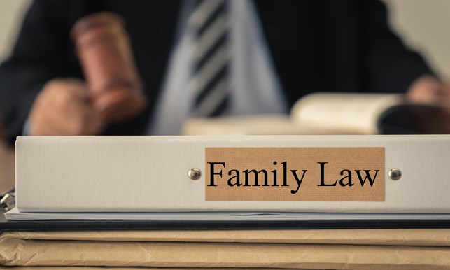 close-up-lawsuit-folder-of-family-law-with-the-judge