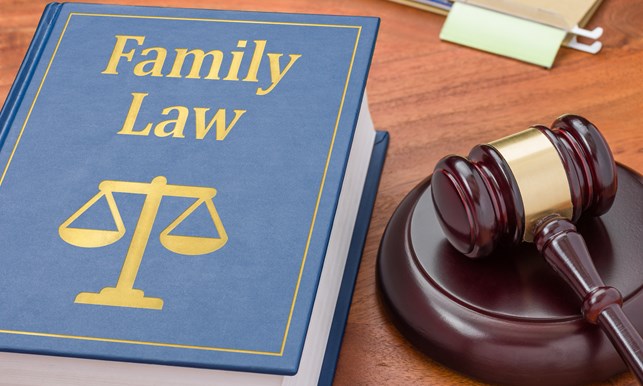 family-law-book-with-a-gavel